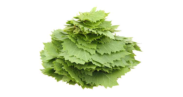 طعم و عطر طبیعی در غذاها با برگ مو