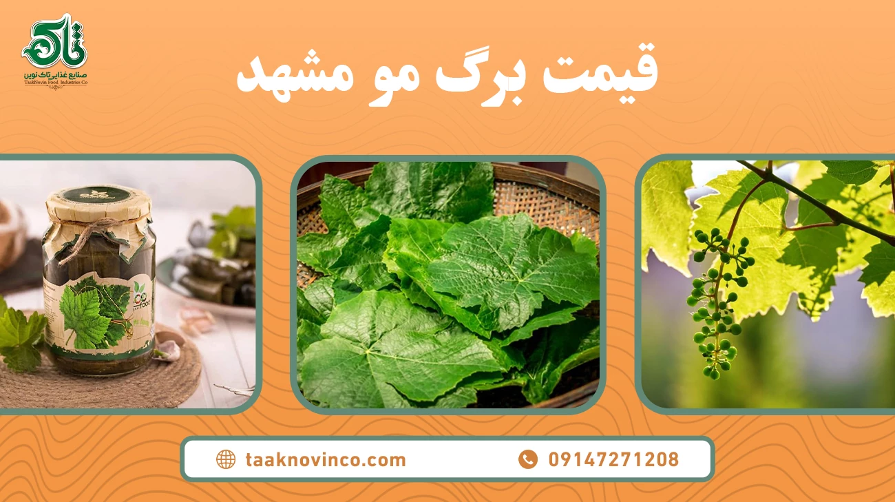 برگ مو مشهد