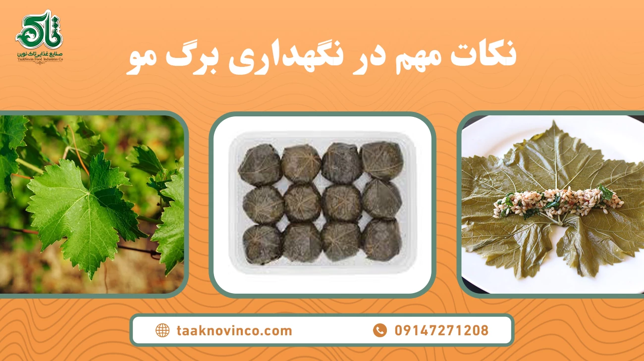 خرید و قیمت برگ مو مشهد